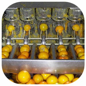 Aromatherapy Perfume Natural Orange Peel Extraction Machine Citrus Skin Essential Oil Extraction Machin - Product Image 2