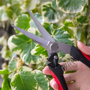 Red Black <strong>Scissors</strong> with Sharp Blade - Product Image 3