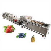 Industriële Vruchten Schoonmaken Verwerking Bosbes Aardbei Ananas Wasmachine Fruit Wasmachine Prijs