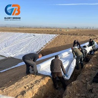 Композитная геотекстильная мембрана (HDPE/LDPE) для защиты от проникновения и разрывов, прочная, водонепроницаемая, для фундаментов прудов, водоемов и плотин, предотвращающая оседание грунта