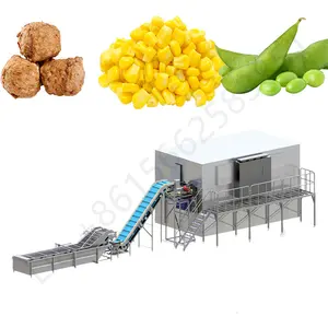 Industrial Vegetables Fruits Seafood Prepared Food French Fries Berry Mango Blackberry IQF Fluidized Bed Freezing Machine 2022
