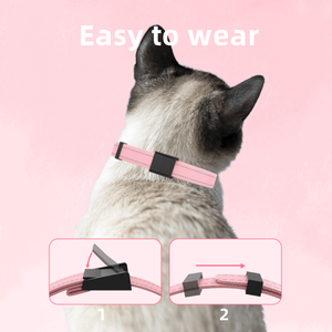 Venta al por mayor lindo diseño de moda gato entrenamiento Collar Anti Meow sonido choque advertencia Collar - Product Image 3