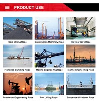 Harga Pabrik Tali Kawat Baja/Tali Kawat/Tali Baja/Tali Kawat Baja Galvanis/Tali 6X36W Iwrc Pabrik