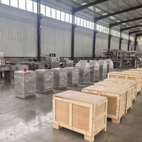 Machine automatique à éplucher les oignons à sec pour la préparation alimentaire commerciale