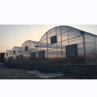 Serre en polycarbonate pour l'hydroponie dans le désert, système hollandais pour la culture de concombres et de tomates, Émirats arabes unis, Arabie saoudite, Moyen-Orient