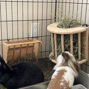 เตียงอุโมงค์ไม้แบบโมเดิร์น ODM/OEM สำหรับกระต่าย เพื่อความสบายและการเล่น - Product Image 5