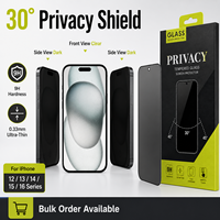 Protection d'écran en verre trempé anti-espion à 30 degrés pour iPhone 12 13 14 15 16 Mini Pro Max Plus SE XR 11