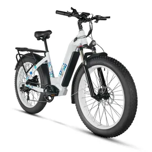 Ucuz elektrikli motosiklet yağ lastik çift süspansiyon yağ lastik dağ E bisiklet bisiklet satılık elektrikli bisiklet çin'de yapılan