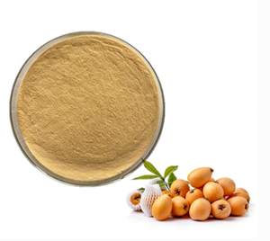 ผงโลควอท, ผงผลไม้ธรรมชาติ, วัตถุดิบพิเศษสำหรับเครื่องดื่มและเบเกอรี่ - Product Image 1