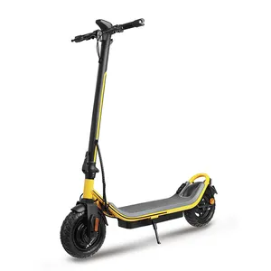 China Manufacturer Electric Scooter 500W 10inch Wheel Drum Brake Adult Electric Scooter for Sale