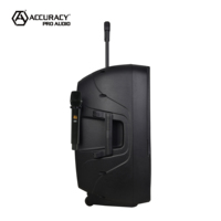Altavoz PA Activo Portátil Accuracy Pro Audio CSLT12AUH de 100 W y 12 Pulgadas con Dos Micrófonos Inalámbricos