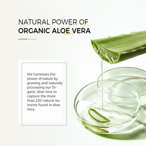 Vegan Unscented 96% Pure Natural Organic <strong>Aloe</strong> <strong>Vera</strong> Gel Bulk Moisturizing Soothing After Sun <strong>Aloe</strong> <strong>Vera</strong> Gel for Face - Product Image 4