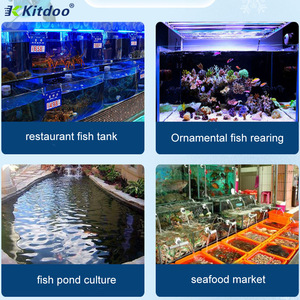 Restaurante Mariscos Enfriador <span class=keywords><strong>de</strong></span> <span class=keywords><strong>agua</strong></span> fría <span class=keywords><strong>Terapia</strong></span> Diseño <span class=keywords><strong>de</strong></span> sistema <span class=keywords><strong>de</strong></span> refrigeración por <span class=keywords><strong>agua</strong></span> portátil - Product Image 6