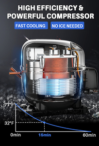 ตู้เย็นไฟฟ้าขนาดเล็ก<span class=keywords><strong>12V</strong></span> 24V ตู้เย็นพลังงานแสงอาทิตย์สำหรับรถยนต์<span class=keywords><strong>12V</strong></span> แบบพกพาได้ - Product Image 4