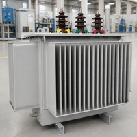 Puissance spéciale 50kVA pour transformateurs pour panneaux solaires photovoltaïques Éoliennes Autres équipements d'énergie nouvelle
