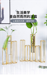 Soportes Metálicos para Flores, Macetas Hidropónicas con Tubos Transparentes, Decoración para Interiores, Venta Caliente - Product Image 6