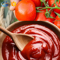 Pâte de tomate Offre Spéciale de haute qualité 36-38% Sauce tomate concentrée fraîche pâte de tomate