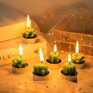 Personalizzato Vari Stili di Trasporto Combinazione di Paraffina di Simulazione In Vaso Pianta di Cactus Spinoso Pera Forma di Animale Succulente Rosa Candela - Product Image 4