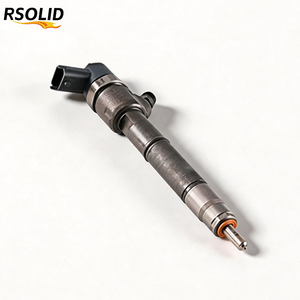หัวฉีดน้ำมันเชื้อเพลิง Rsoliddiesel 0445110255 0 445 110 255 0445110241 0445110256 0445110727 33800-2A400 0986435152 F00VC01347 - Product Image 1