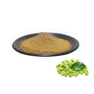 GMP Factory Wholesales Green Coffee Bean Extract Chlorogenic Acids 10% to 50% With Good Price