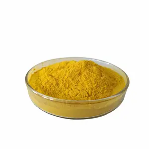 High Quality Pure Natural Turmeric Root Extract Curcumin Powder