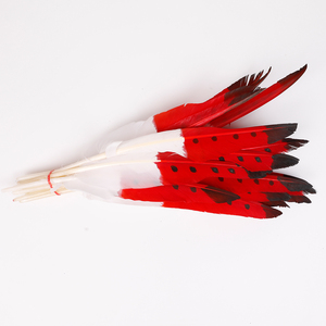 Nhuộm Lông Ngỗng Lông Đơn Nhiều Màu 10-12 Inch Cho Đảng & Lễ Hội Trang Trí Nội Thất - Product Image 2