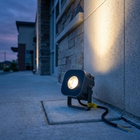 Projecteur LED 10W AC220V, boîtier en aluminium, IP67, éclairage extérieur, haute luminosité, 30000 heures, lampe à faisceau