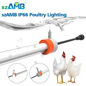 IP67 Corrosion Free Dimmable T8 LED Lighting for Chicken Farm