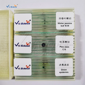 Juego de 8 Portaobjetos Preparados para Microscopio, para Botánica y Biología, Recursos Didácticos - Product Image 2