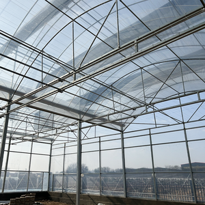 बड़ी बहु-अवधि हाइड्रोपोनिक सुरंग ग्रीनहाउस गर्म गैल्वेनाइज्ड कृषि पे पतली फिल्म ग्रीनहाउस - Product Image 2
