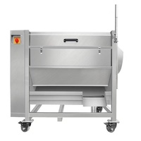 Automatische roestvrijstalen kliswortel schil- en wasmachine, industriële borsteltype groenteschiller/wasser voor fruit/sojabonen