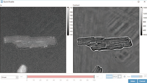Mendeteksi Potensi Aksi dan Sinyal Transien Kalsium dalam Model Jantung Mini dan Organoid - Product Image 5