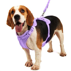 Manufacturer Direct Quality Customizable <b>Dog</b> Walking <b>Harness</b> Leash Set Waterproof PVC Polyester Ribbons Solid Personalized - Product Image 5