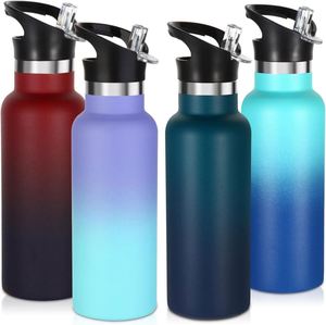 Stainless Steel Insulated Water <b>Bottle</b> with Straw Lid, Leakproof Vacuum <b>Flask</b> with Handle, for Gym, Outdoor - Product Image 1