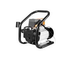 Pompa Minyak Listrik 12V/24V/220V Pompa Bahan Bakar Mini Self-Priming Aliran Tinggi Otomatis Start-Stop Portabel Diesel/Bensin/Kerosin
