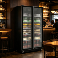 Promotion : Refroidisseur de bouteilles de vin, Vitrine réfrigérée pour bières avec ventilateur de refroidissement, Réfrigérateur pour bières, Congélateur, Réfrigérateur