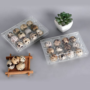 Boîte d'emballage pour œufs en PVC PET, plateau à œufs en plastique pour cailles, couleur et taille personnalisées, plateau à œufs <span class=keywords><strong>de</strong></span> ferme, plateau à œufs <span class=keywords><strong>de</strong></span> pâturage, en vente - Product Image 1