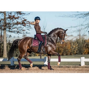 PIHA SPORTS - Vente chaude en Europe - Pantalons d'équitation pour femmes - Polyester/Spandex - Collants d'équitation - Leggings - Culottes d'équitation - Product Image 5