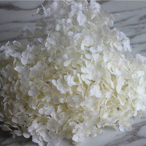 Hortensia fresca preservada colorida en caja <span class=keywords><strong>Flores</strong></span> secas para el Día <span class=keywords><strong>de</strong></span> San Valentín y la decoración <span class=keywords><strong>de</strong></span> Navidad Adornos artesanales - Product Image 2