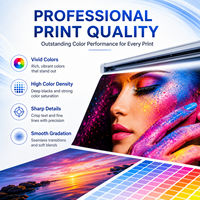 Tinta Eco Solvente 1L CMYK para Epson I3200 XP600 DX5 DX7, para Dibujo CAD, Impresión de Planos Técnicos y Gráficos