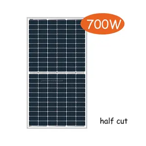 अक्षय ऊर्जा के साथ 48v 700w monocrystalline सौर पैनल डबल ग्लास