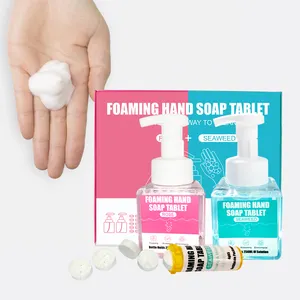 Foaming Hand Soap Tablet Custom Aromatic Solid Cleaner Tablets Hand Wash Clean Dissolvable Effervescent Foaming Hand Soap Tablet