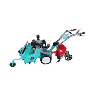 Piccola Macchina Taglia Erba, Trituratore per Erba, Tosaerba a Spinta per Prato - Product Image 1