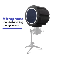 Écran d'Isolation Sonore Professionnel pour Microphone, Bouclier Acoustique Anti-Pop pour Enregistrement en Studio Vocal