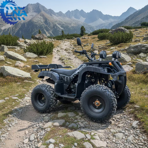 Cuatrimoto ATV con certificación LNA CE, 250cc, <span class=keywords><strong>de</strong></span> alta resistencia, para <span class=keywords><strong>alquiler</strong></span> en la playa - Product Image 2