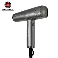 Sèche-cheveux électrique en forme de T pour coiffeur, température constante, lumière bleue, silencieux, puissance de vent élevée 2400W, usage domestique