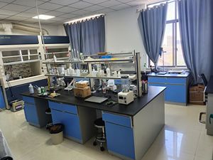 Agents défoamants solides LANZO avec un pH <span class=keywords><strong>de</strong></span> 6,0 à 8,0 pour la prévention <span class=keywords><strong>de</strong></span> la formation <span class=keywords><strong>de</strong></span> mousse dans la <span class=keywords><strong>boue</strong></span> <span class=keywords><strong>de</strong></span> cimentation des champs pétrolifères - Product Image 4