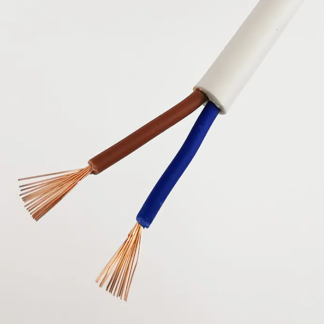 RVV 2*4mm Electrical Wire Cable 2 Cores 4 mm Flexible Copper Electric Wire Control Cable