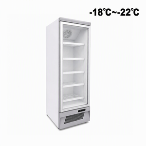-18~-22°C Enkeldeurs rechtopstaande vrieskast met onderaan geplaatste display, luchtkoeling, verstelbare planken, aanpasbare kleur - Product Image 1