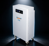 Batterie solaire Tipsun 51.2V 314Ah LiFePO4, système de stockage d'énergie domestique de type solaire